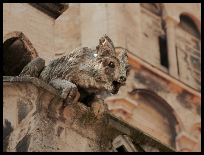 Wasserspeier, Naumburger Dom